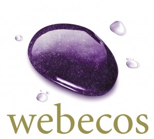 logo_webecos-300x272